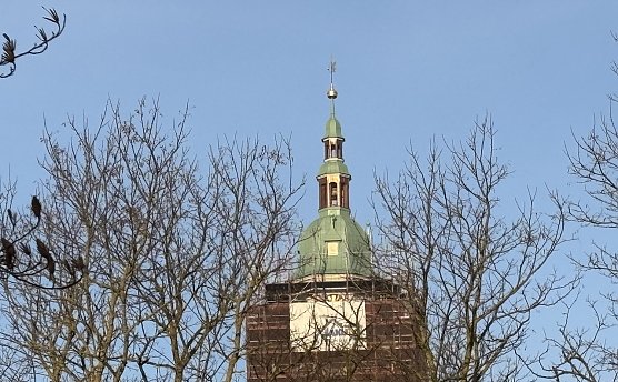 Bronzener Glanz in morgendlicher Sonne: Marktkirche Bad Langensalza  (Foto: oas)