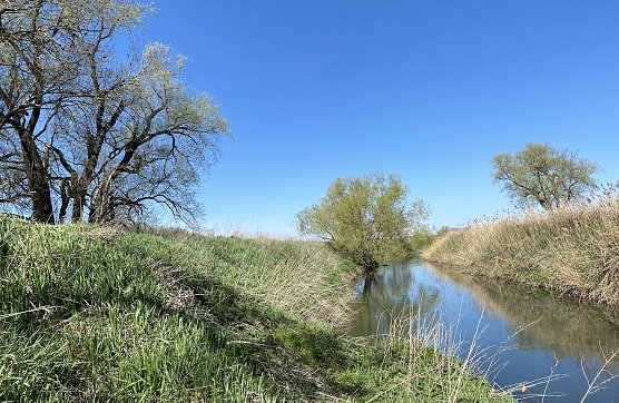 Ab morgen erwartet uns endlich Fr&uuml;hlingswetter (Foto: oas)