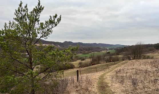 Symbolbild st&uuml;rmisches Wetter (Foto: ssc)