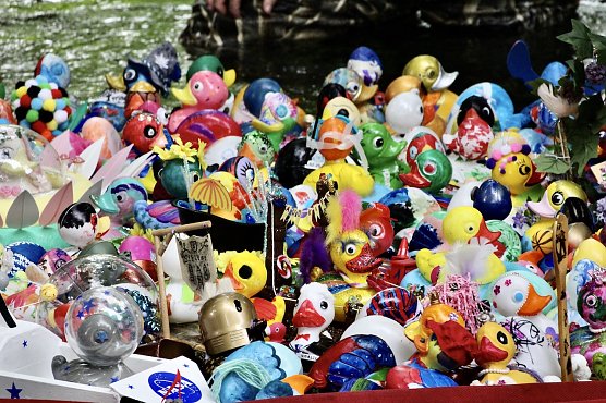 Entenrennen 2025 in Bad Langensalza (Archiv) (Foto: Eva Maria Wiegand)