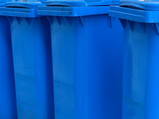 Symbolbild 2Blaue Tonne" (Foto: Pixabay-Hans)