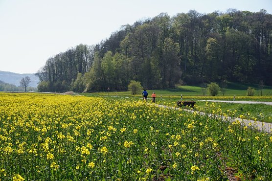 Symbolbild Wetter (Foto: ssc)