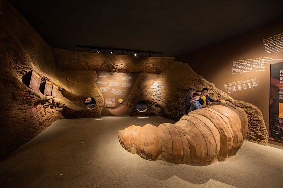 Ein weiterer Blick in die H&ouml;hle. (Foto: Michael Zilling)