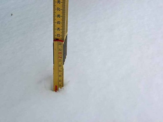 14 Zentimeter (Foto: Karl-Heinz Herrmann) 14 Zentimeter (Foto: Karl-Heinz Herrmann)