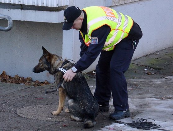 Polizei sucht Spuren (Foto: Polizei)
