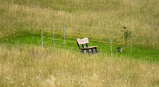 Bild: Wetterbild