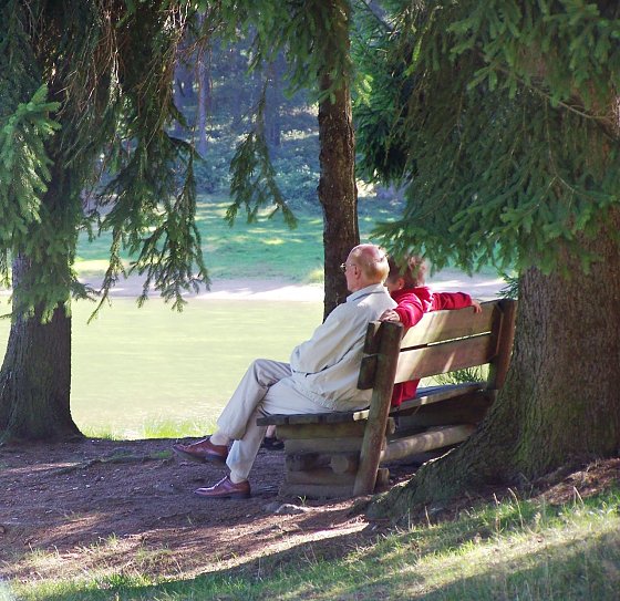 Bild: Bei extremer Sommerhitze sollten insbesondere Senioren und Kinder im Wald verweilen und die ausgeglichenen Temperaturen genie&szlig;en