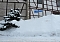 Wintergr&uuml;&szlig;e