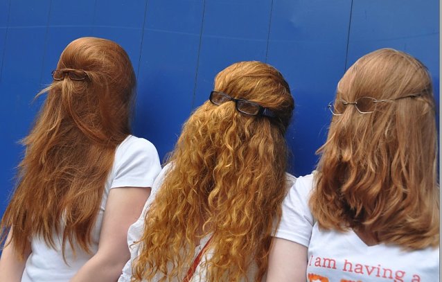 Bild: Rotehaaretreff 2012