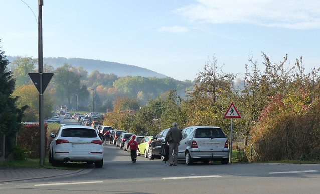 Bild: 18. Stadtparklauf