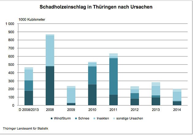 Bild: Schadholzeinschlag in Th&uuml;ringen nach Ursachen