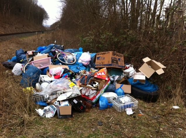 Bild: Der illegal abgelagerte M&uuml;llberg in M&uuml;hlhausen.