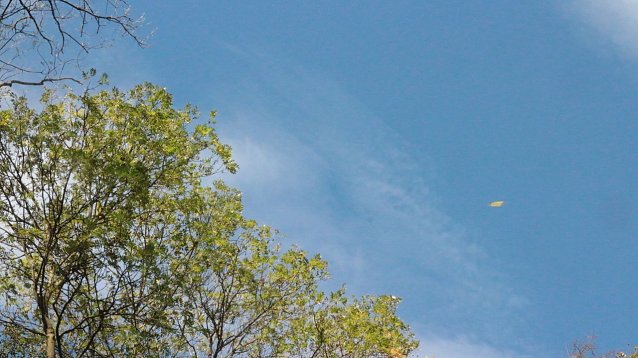 Bild: Sonnenschein mit kleinen Nebelfeldern 