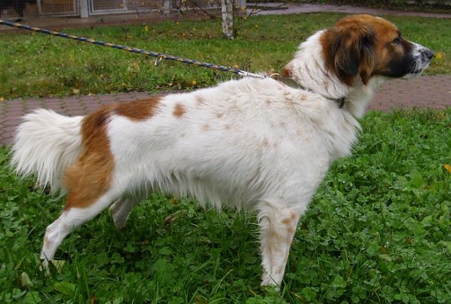Bild: Kaspar