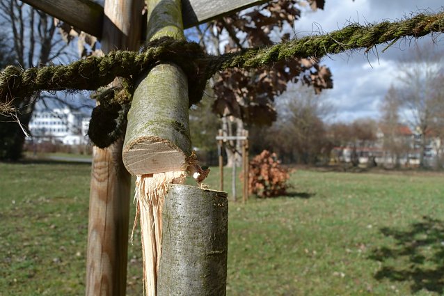 Bild: Besch&auml;digte Einheitsb&auml;ume auf dem Alten Friedhof