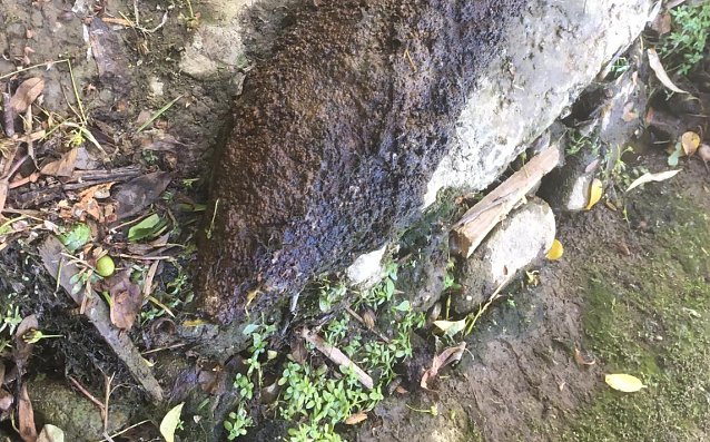 Bild: Granate bei Angelausflug gefunden