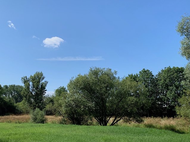 Bild: wetter 