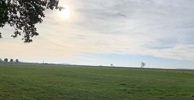 Bild: wetter