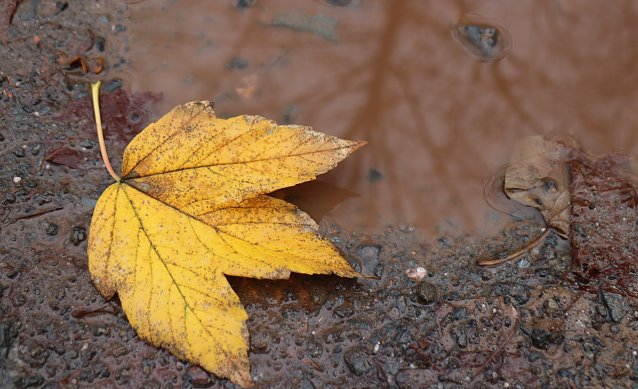 Bild: Herbstwetter