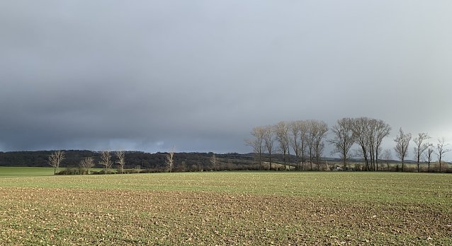 Bild: wetter
