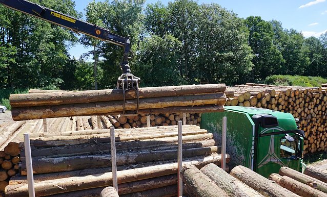 Bild: Egal ob auf dem Holzlager oder auf dem Holztransporter: K&uuml;nftig kann jeder Holzstamm per Smartphone ausgelesen" werden
