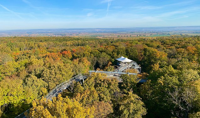 Bild: Von 10 bis auf 24 Meter H&ouml;he schl&auml;ngelt sich der Baumkronenpfad durch das herbstliche Bl&auml;tterdach des UNESCO Weltnaturerbes Nationalpark Hainich.