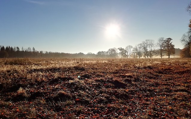 Bild: Aktuelle Wetterlage in den Hochlagen des S&uuml;dharzes