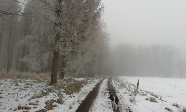 Bild: Im oberen sind die Wintersportbedingungen leidlich gut, zum Rodeln jedenfalls reicht es aus. 