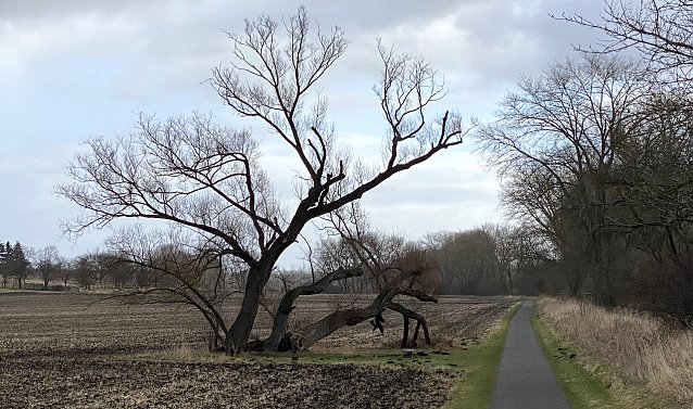 Bild: Das st&uuml;rmische Wetter setzt sich fort