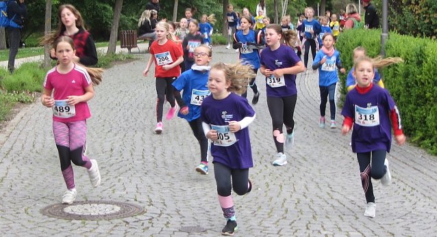 Bild: Fotos von der Strecke des 9. Drei-T&uuml;rme-Laufs