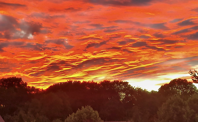 Bild: Unser Wetterbild kommt heute aus Hainrode. Gisela M&uuml;ller gelang dieser sch&ouml;ne Schnappschuss vom "Himmel in Flammen" gestern Abend