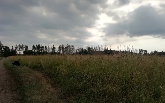 Bild: Morgendliche Stimmung heute in Sophienhof bei 14 Grad Celsius