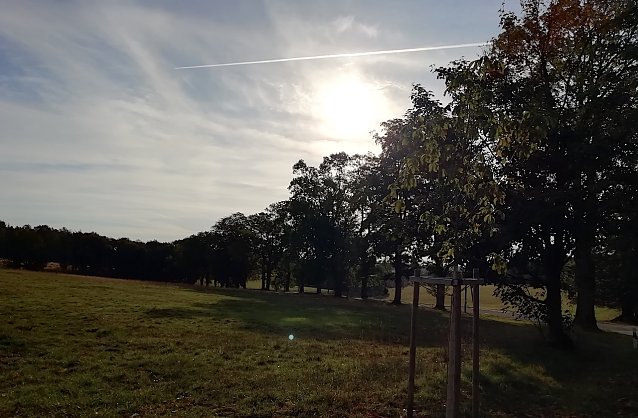 Bild: Heute Morgen in Th&uuml;ringens n&ouml;rdlichstem Punkt Sophienhof 3&deg;C, Sonnenschein und leichter Wind