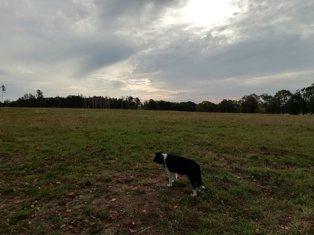 Bild: Herbstlich grau war der Morgen heute in Sophienhof
