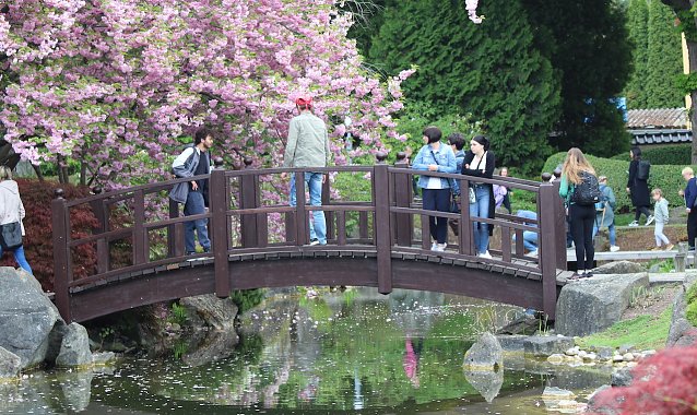Bild: Besucherandrang im vergangenen Jahr beim Kodomo No Hi