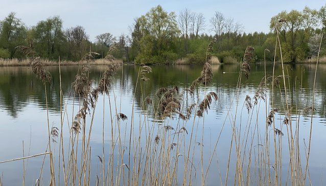 Bild: Am Mittelpunkt Deutschlands bei Niederdorla