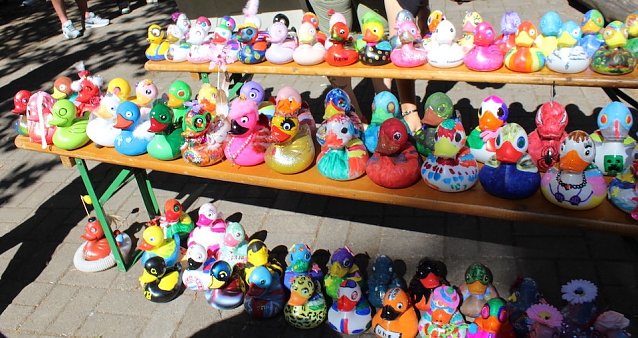 Bild: Das Starterfeld des letzten Jahres. In der unteren Reihe sehen Sie auch die orangene uhz-Ente, die einen Preis nur knapp um wenige hundert Pl&auml;tze verfehlte