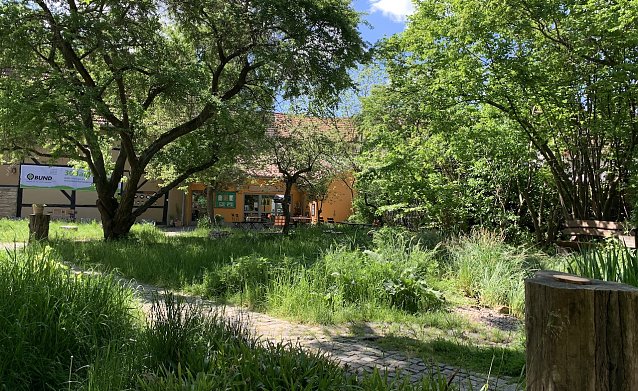 Bild: Der Naturgarten an der Stadtmauer
