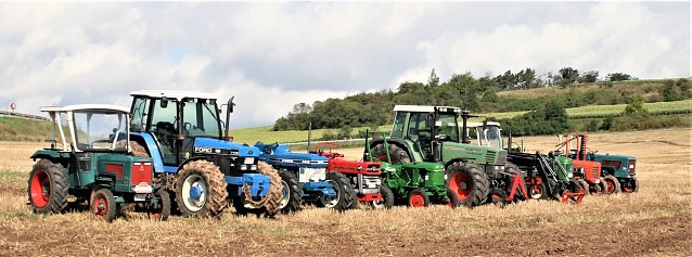 Bild: Schmuckst&uuml;cke auf einem Feld bei Badra