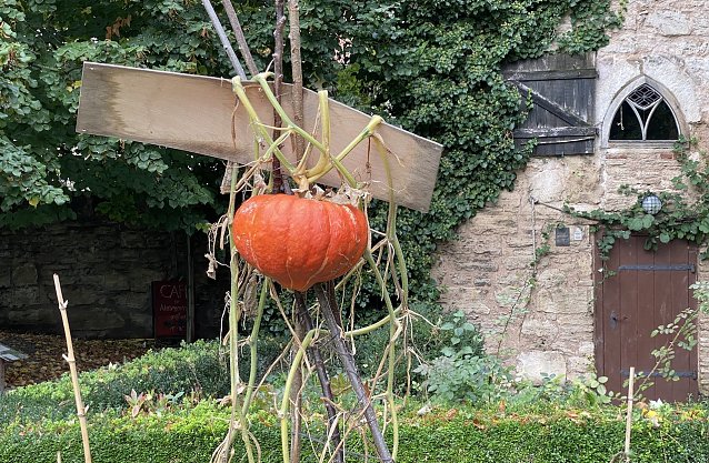Bild: BUND-Naturgarten in Bad Langensalza