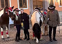 Bild: Herr und Frau H&ouml;xtermann mit ihren Pferden auf dem Sondersh&auml;user Weihnachtsmarkt 2022