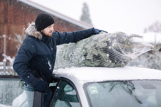Bild: So bitte nicht: Fehler beim Weihnachtsbaumtransport k&ouml;nnen teuer werden