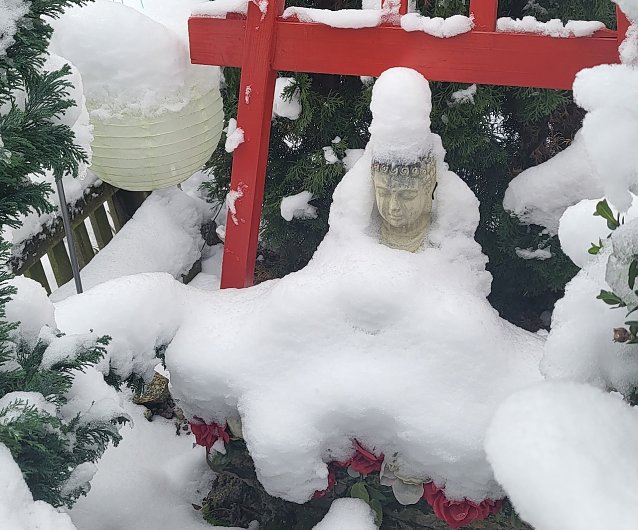 Bild: Buddha im Schnee in Bad Frankenhausen