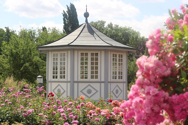 Bild: Der Pavillon im Rosengarten