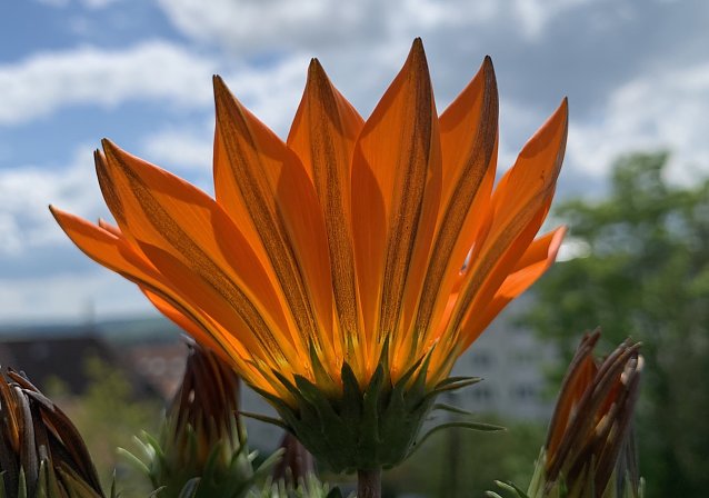 Bild: Etwas Regen und starker Wind
