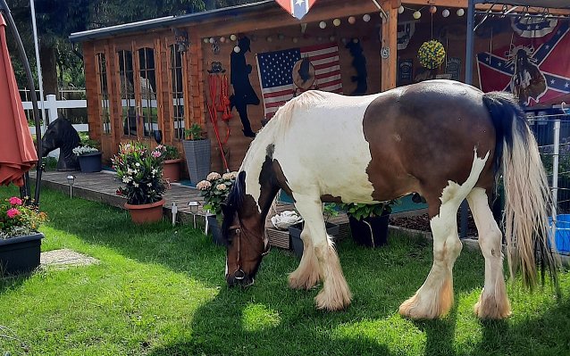 Bild: Leben auf der Ranch