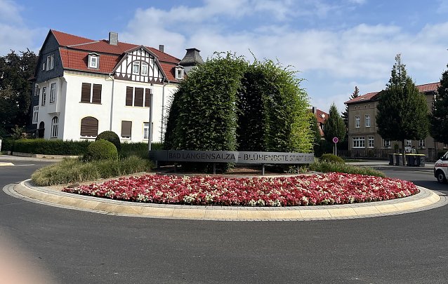 Bild: Bl&uuml;hender Kreisel in Bad Langensalza