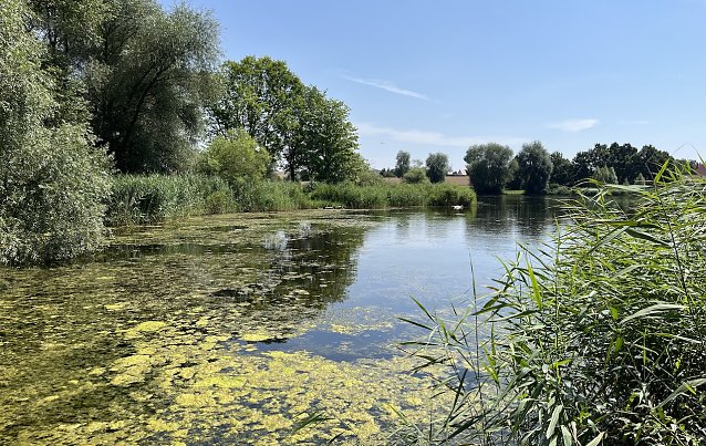 Bild: Opfermoor bei Niederdorla