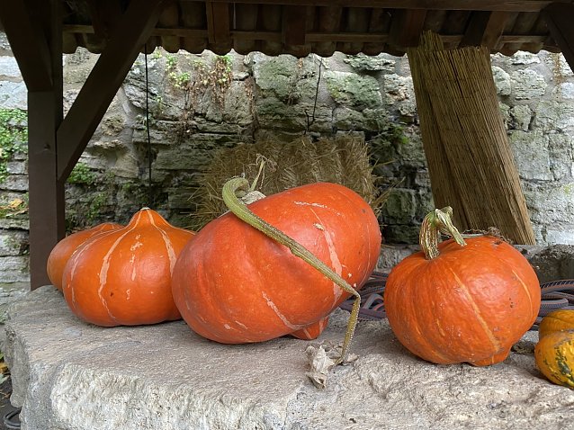 Bild: Herbst im Naturgarten des BUND