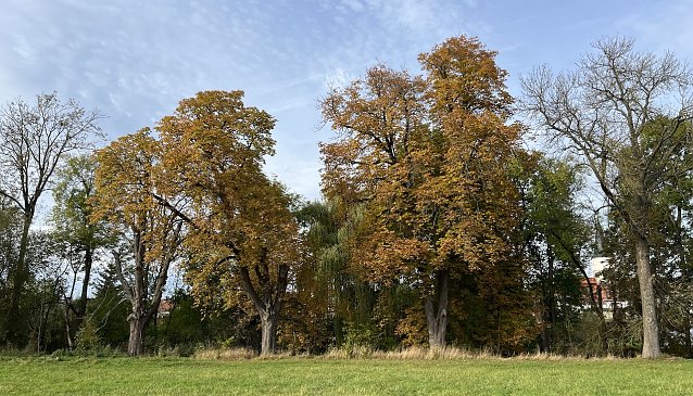 Bild: Herbstwetter bleibt freundlich und ruhig